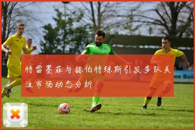 特雷墨菲与赫伯特琼斯引发多队关注市场动态分析