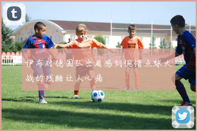 伊布对德国队出局感到惋惜点球大战的残酷让人心痛